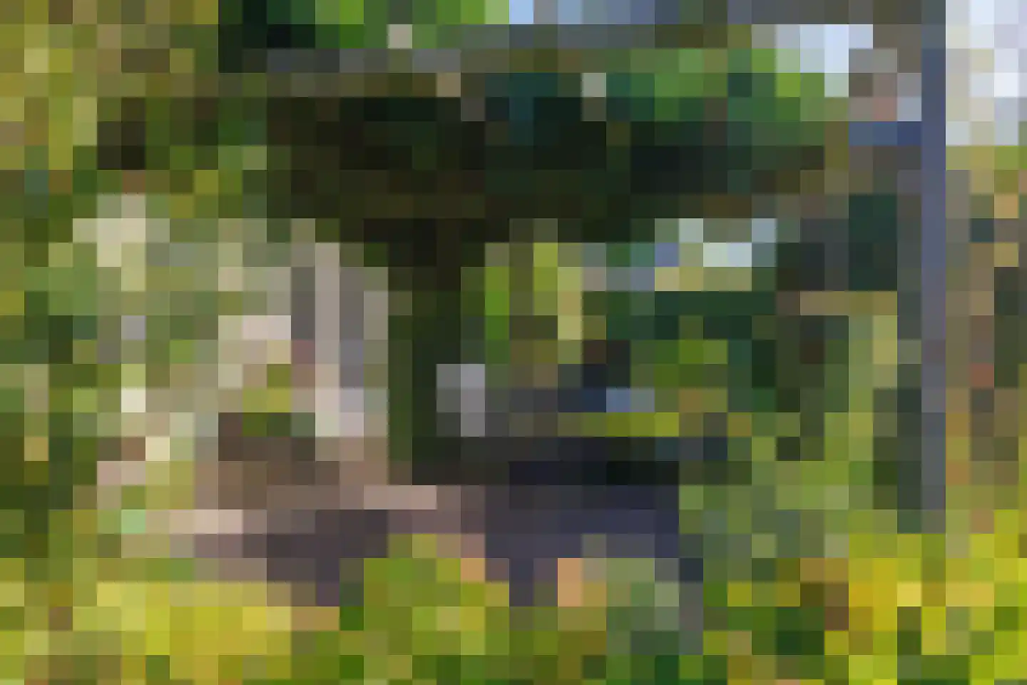 de Hammeren 42 Kollum thumbnail 38