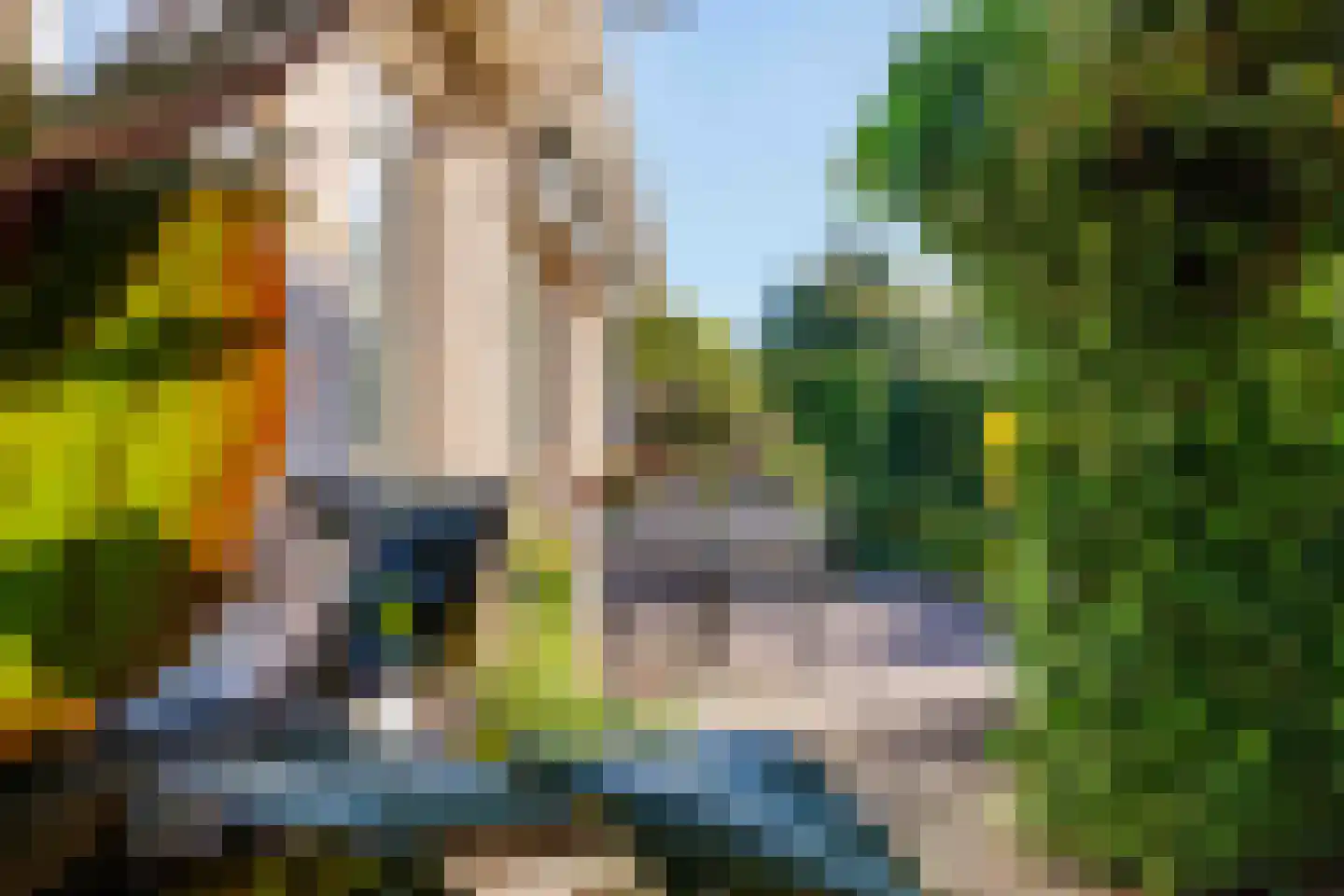 de Hammeren 42 Kollum thumbnail 39