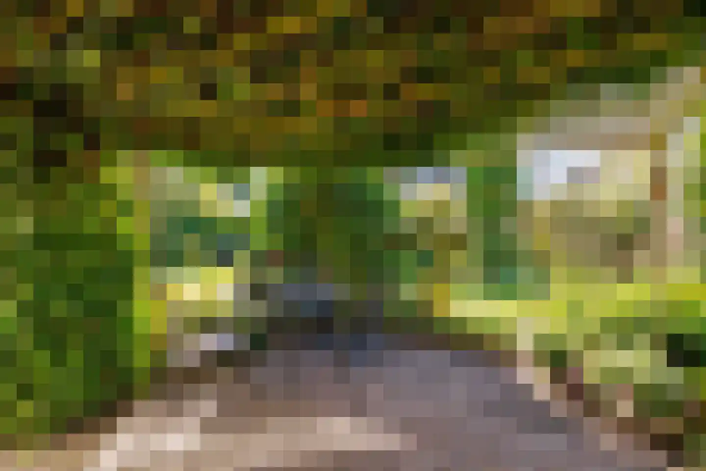 de Hammeren 42 Kollum thumbnail 40
