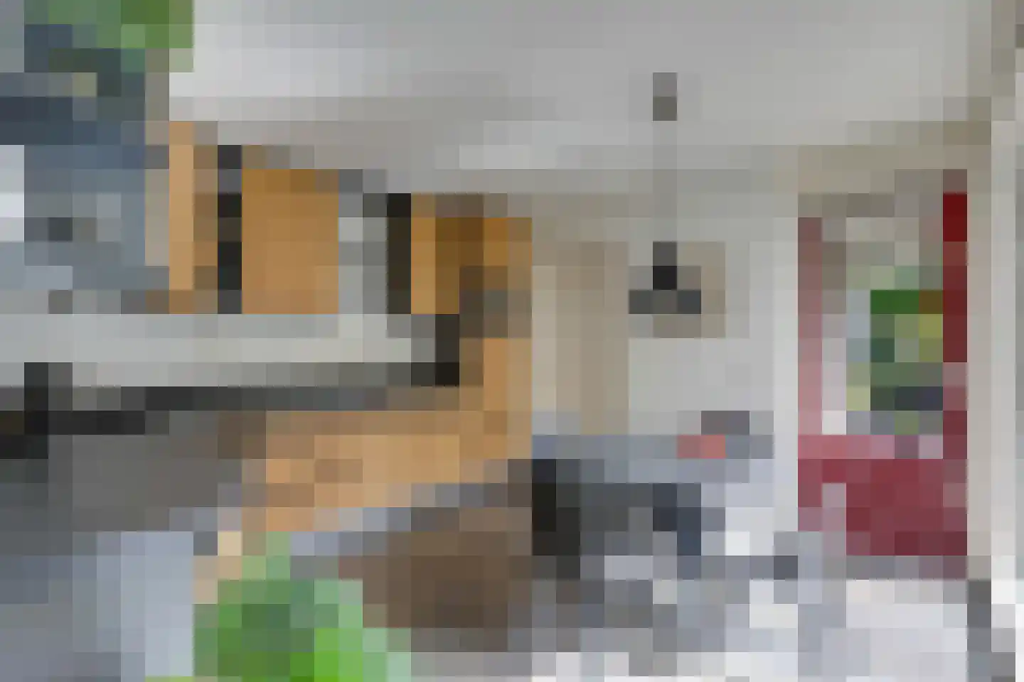 De Handboog 28 Duiven thumbnail 20