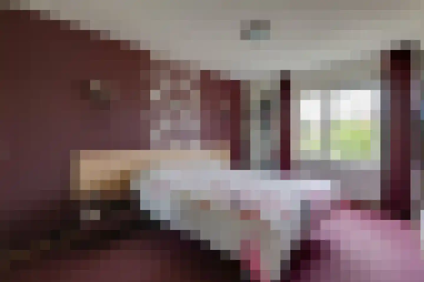 De Handboog 28 Duiven thumbnail 29