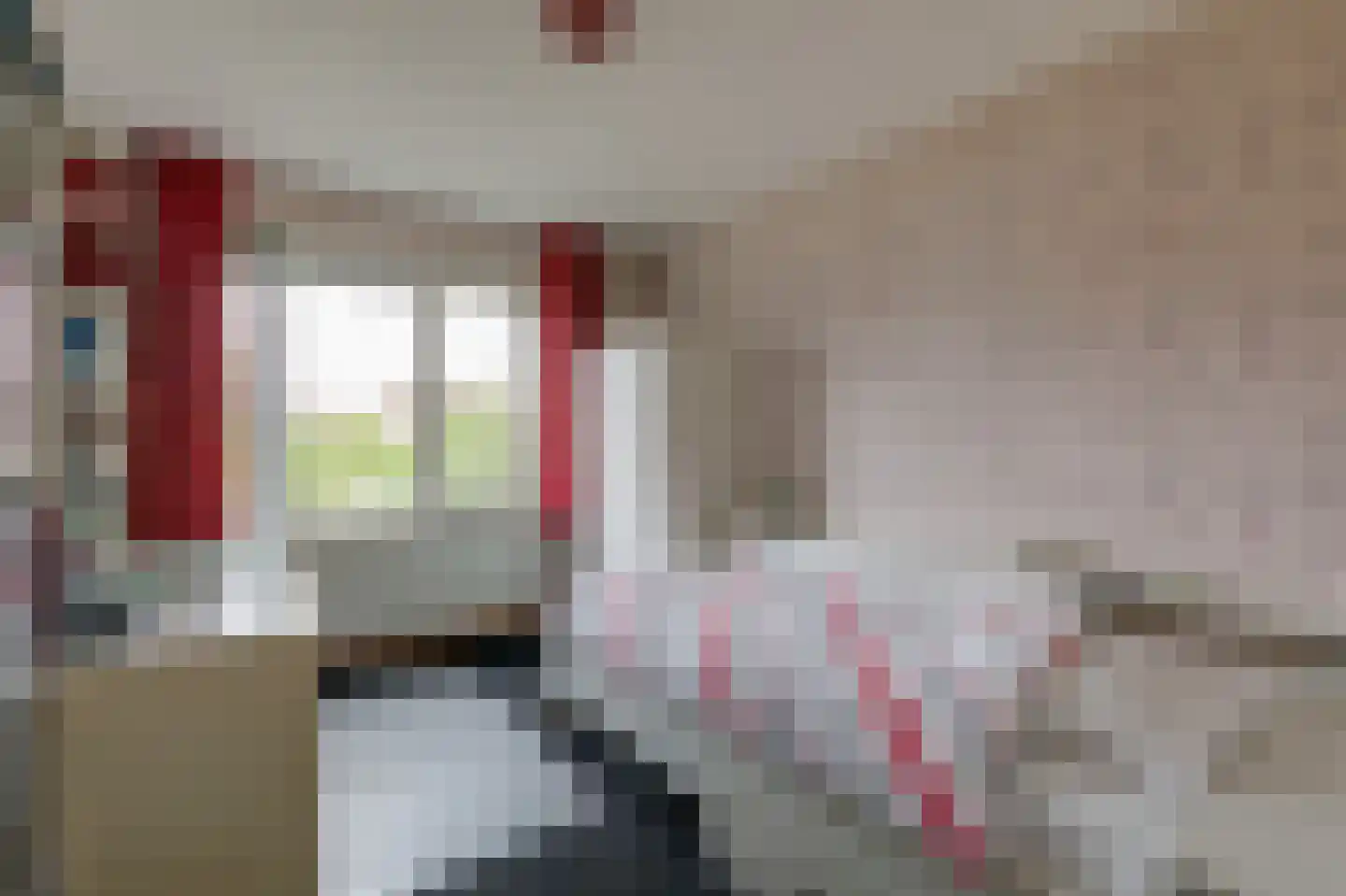 De Handboog 28 Duiven thumbnail 31