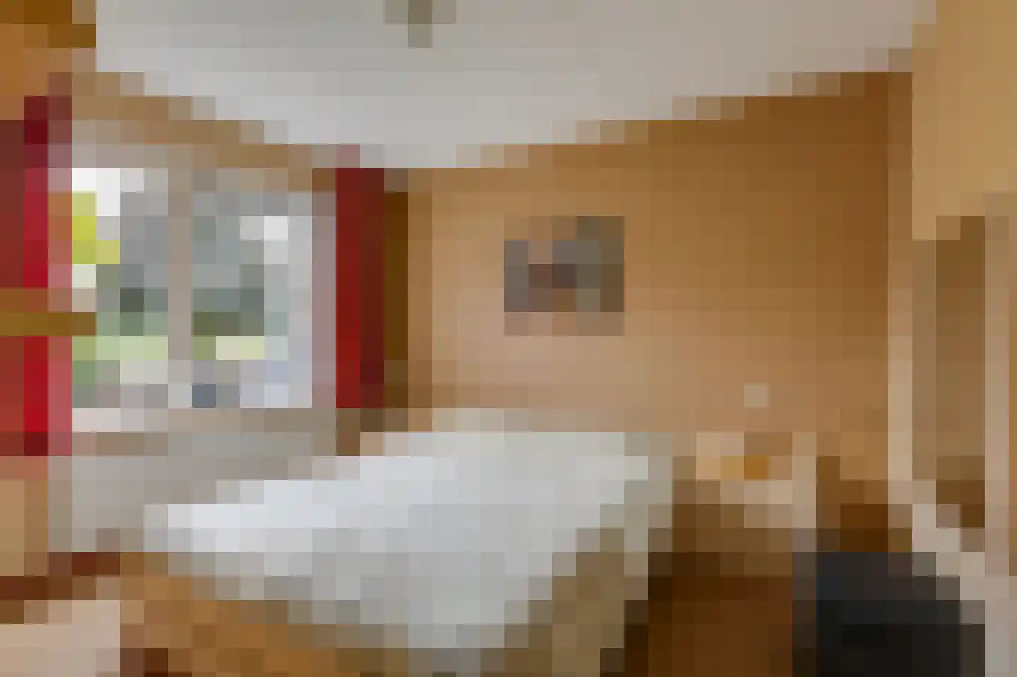De Handboog 28 Duiven thumbnail 33