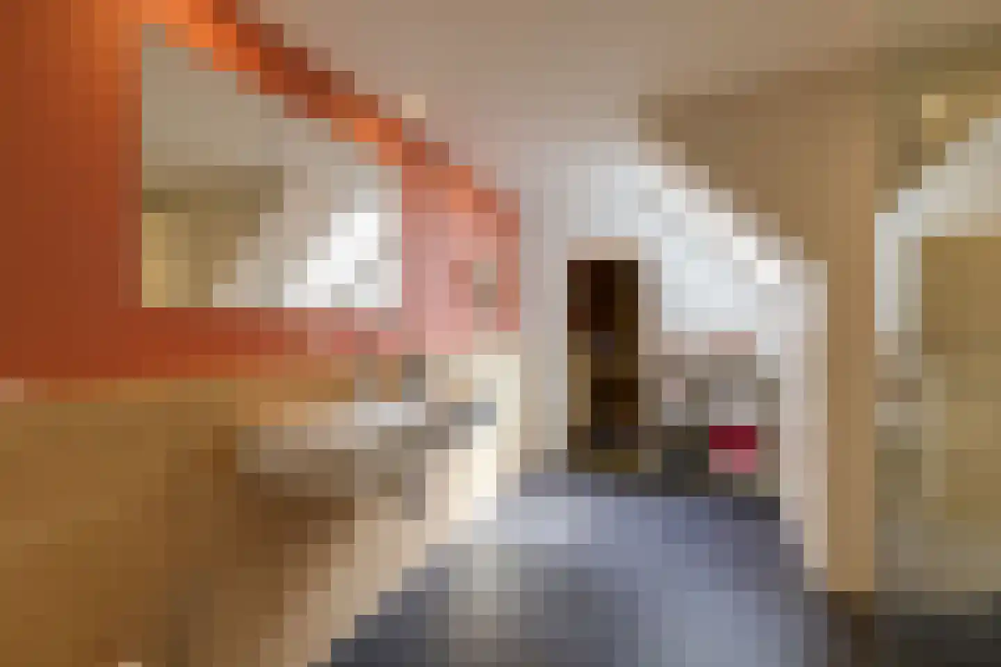 De Handboog 28 Duiven thumbnail 35