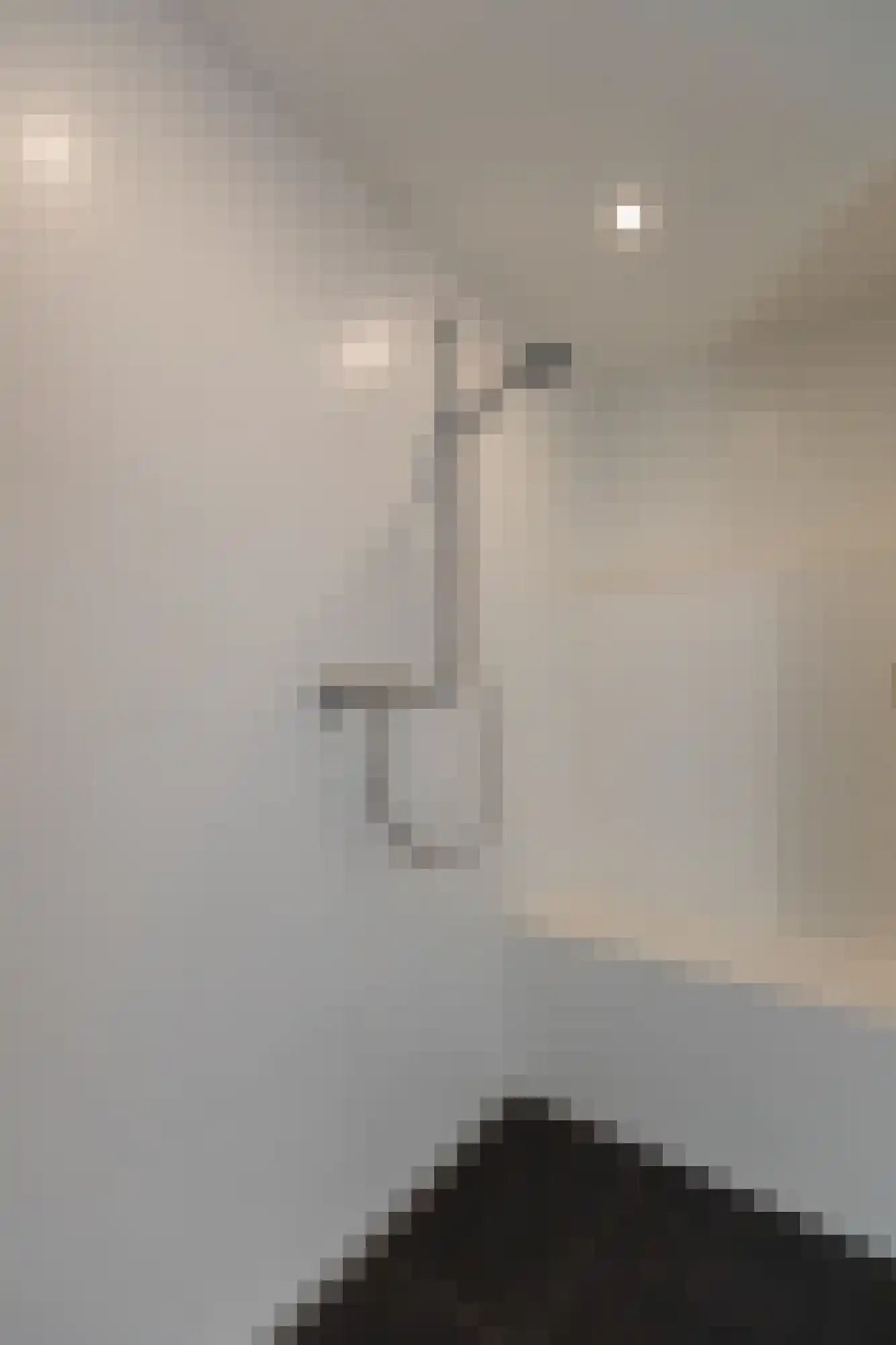 De Handboog 28 Duiven thumbnail 38
