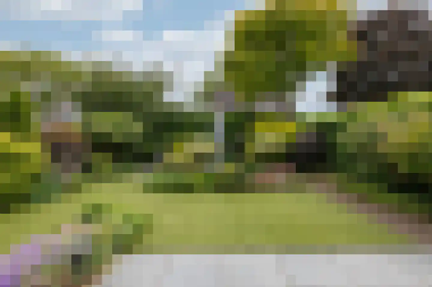 De Handboog 28 Duiven thumbnail 4