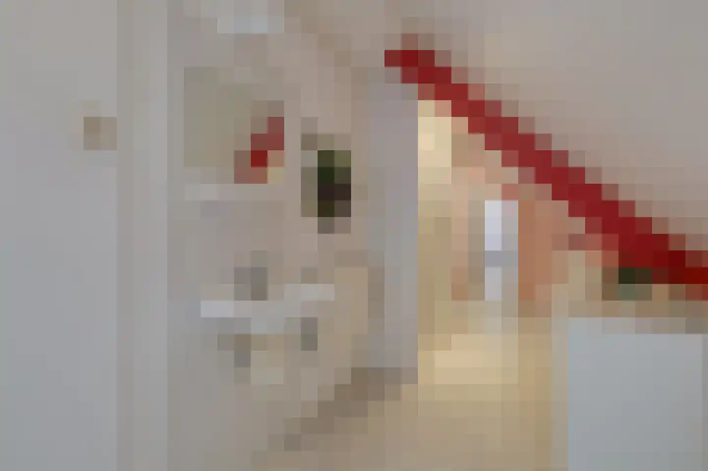 De Handboog 28 Duiven thumbnail 42