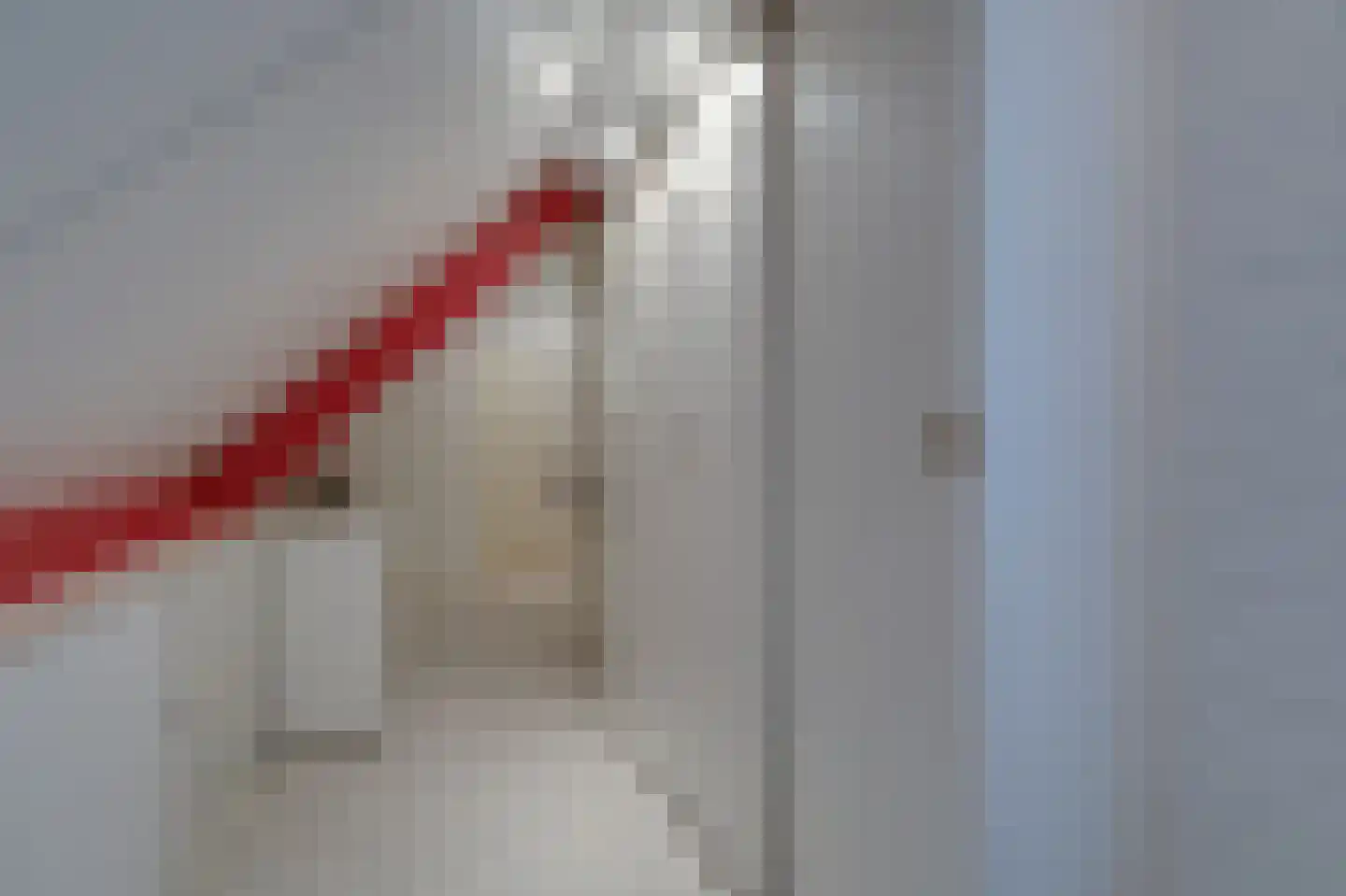 De Handboog 28 Duiven thumbnail 43