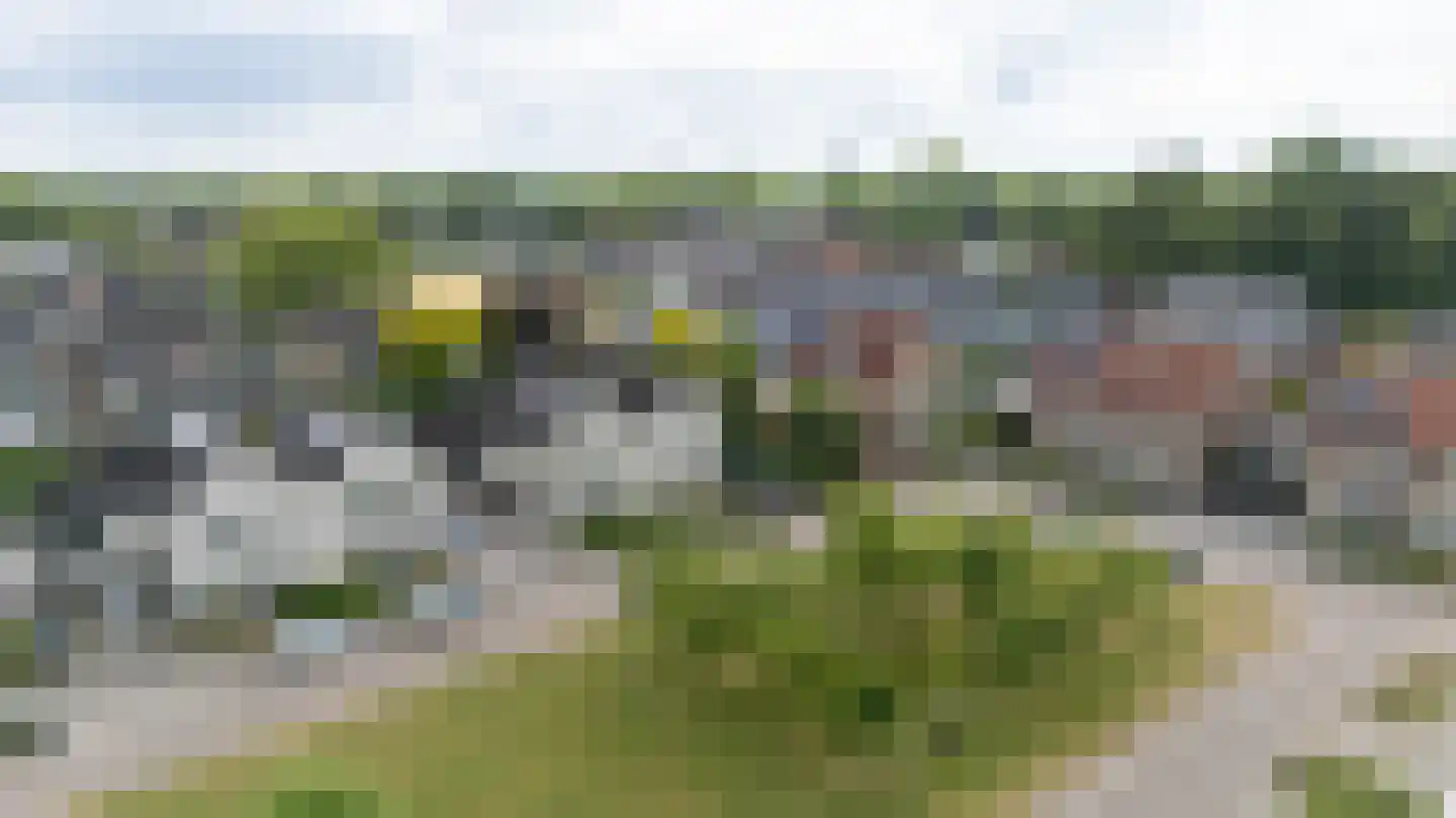 De Handboog 28 Duiven thumbnail 5