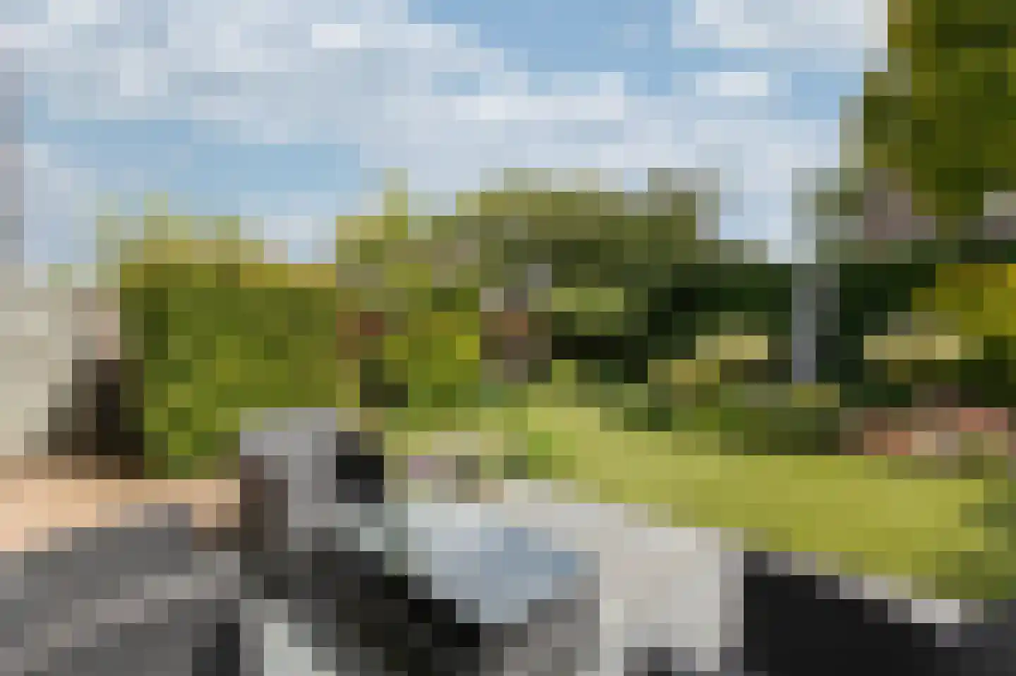 De Handboog 28 Duiven thumbnail 53