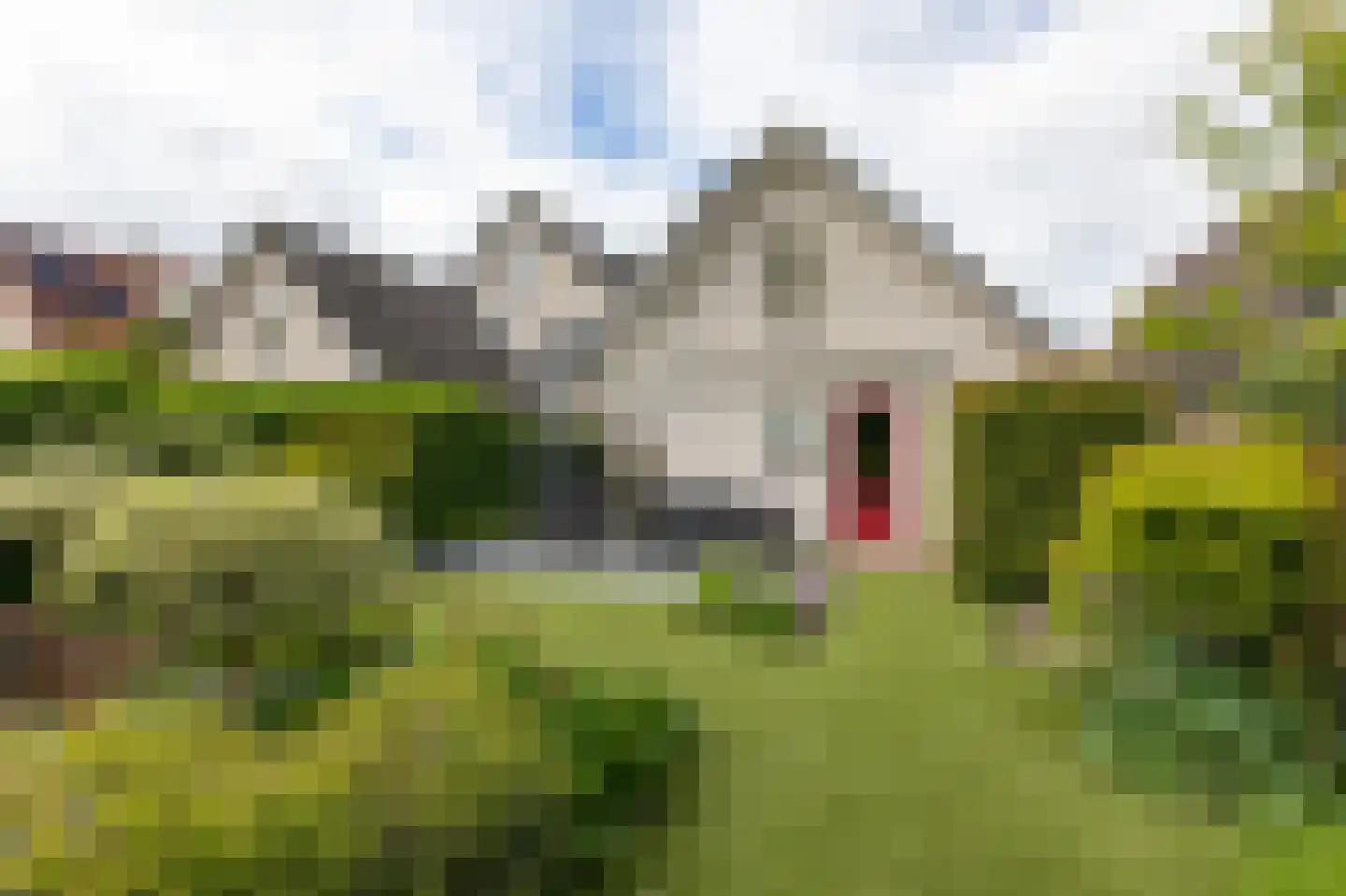 De Handboog 28 Duiven thumbnail 57
