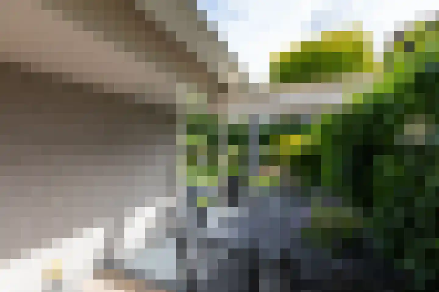 De Handboog 28 Duiven thumbnail 58