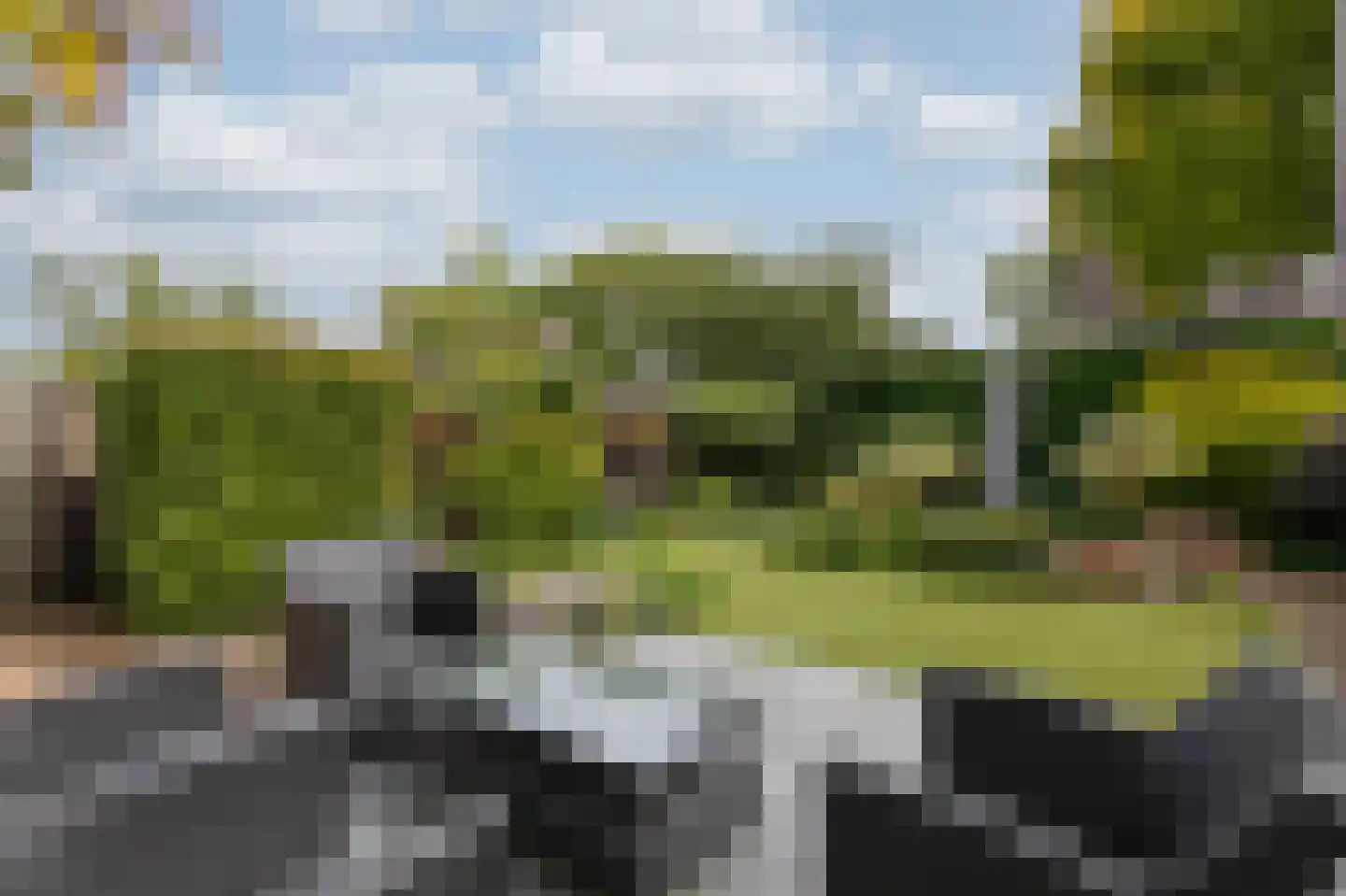 De Handboog 28 Duiven thumbnail 59
