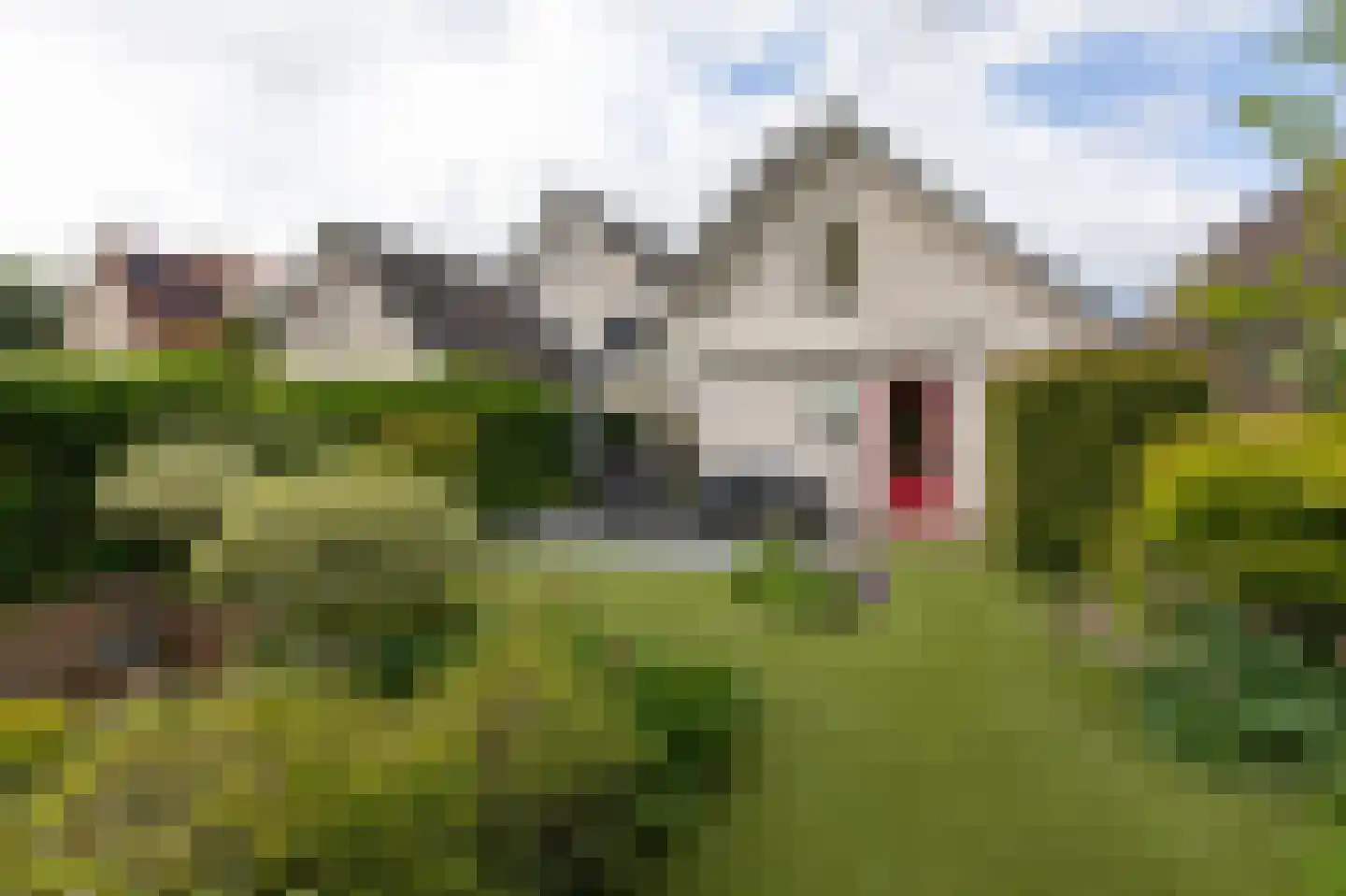 De Handboog 28 Duiven thumbnail 62