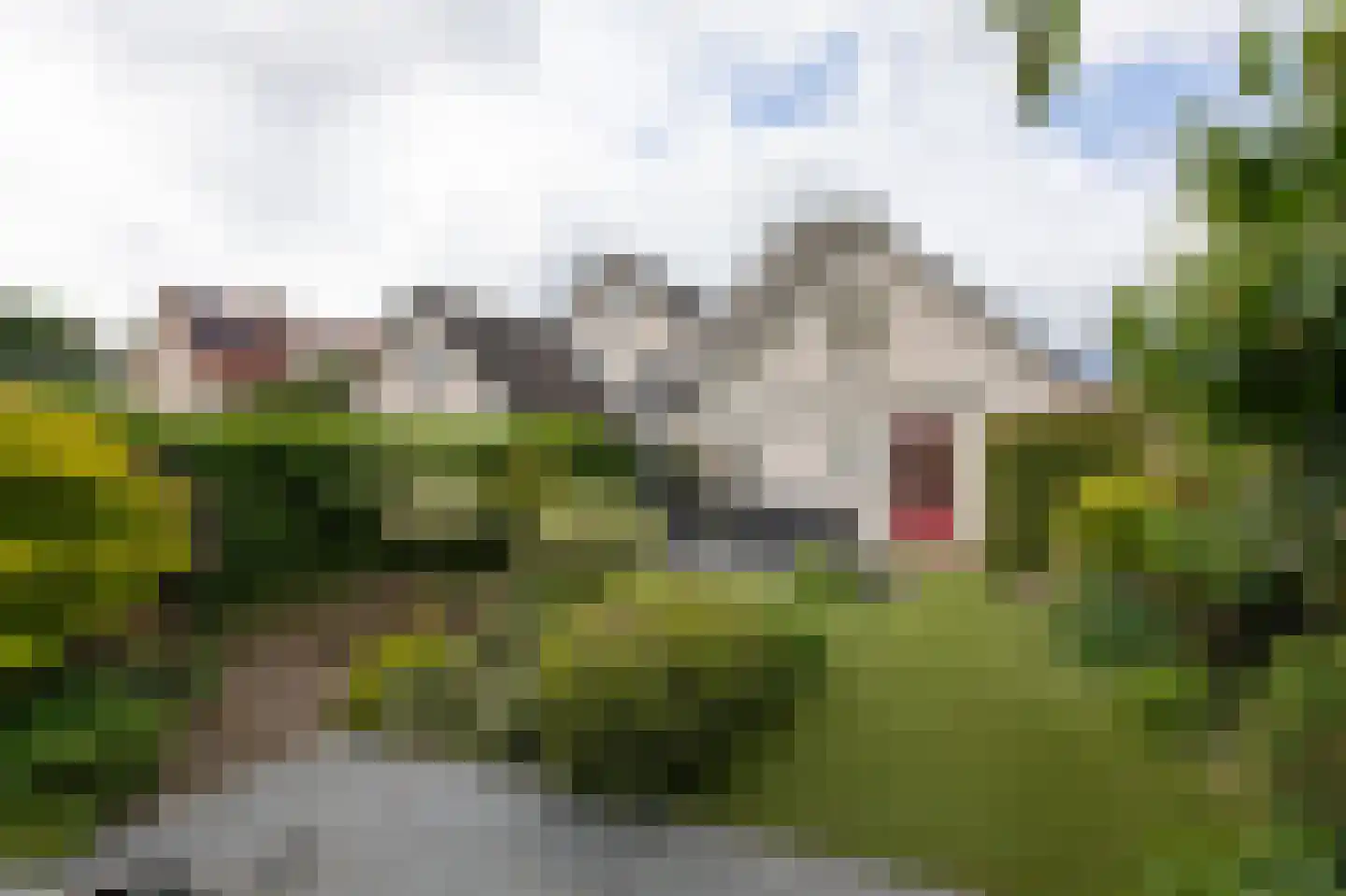 De Handboog 28 Duiven thumbnail 63