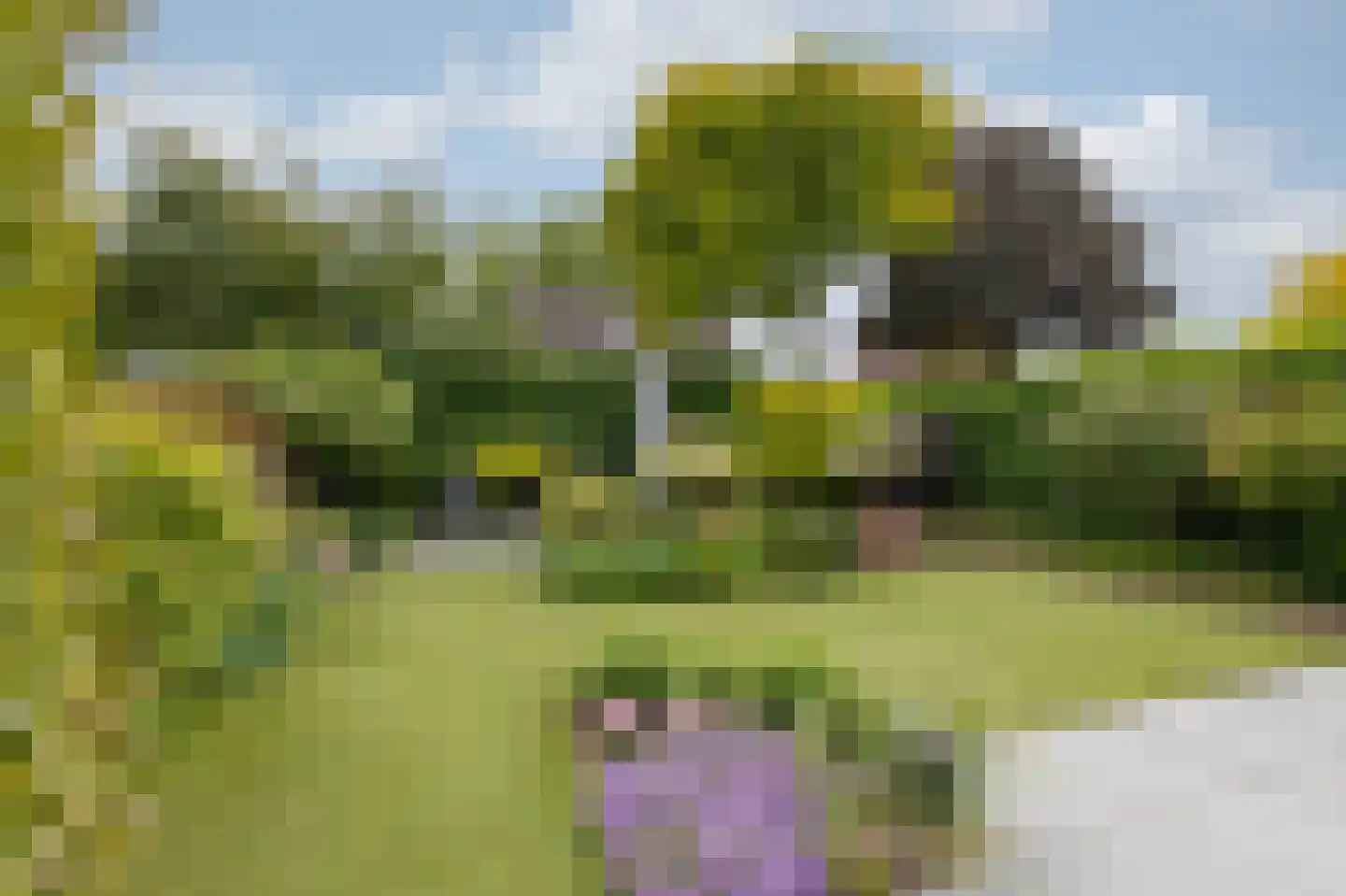 De Handboog 28 Duiven thumbnail 64