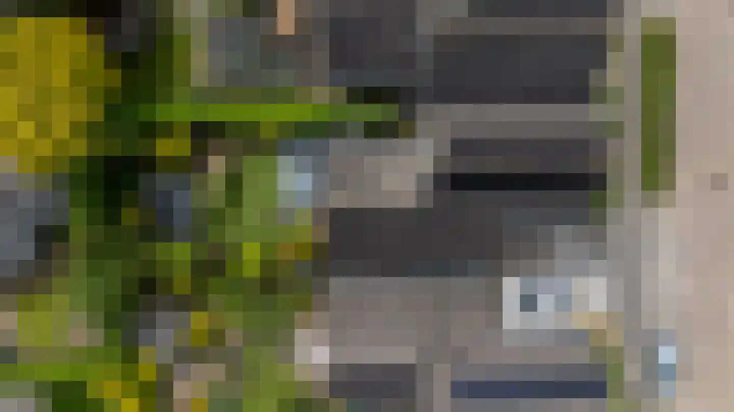 De Handboog 28 Duiven thumbnail 66