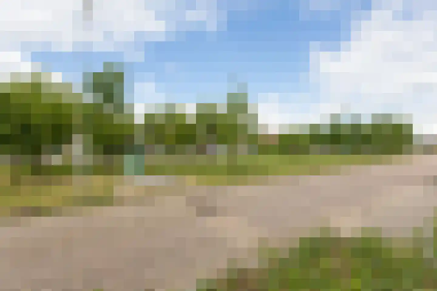 De Handboog 28 Duiven thumbnail 68