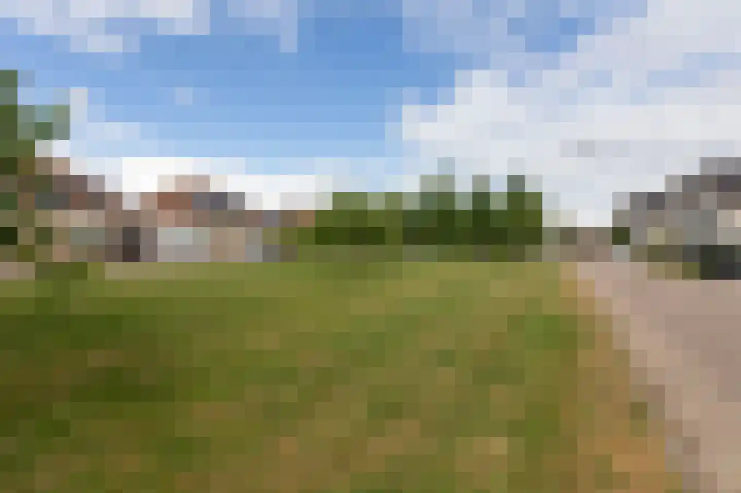 De Handboog 28 Duiven thumbnail 70