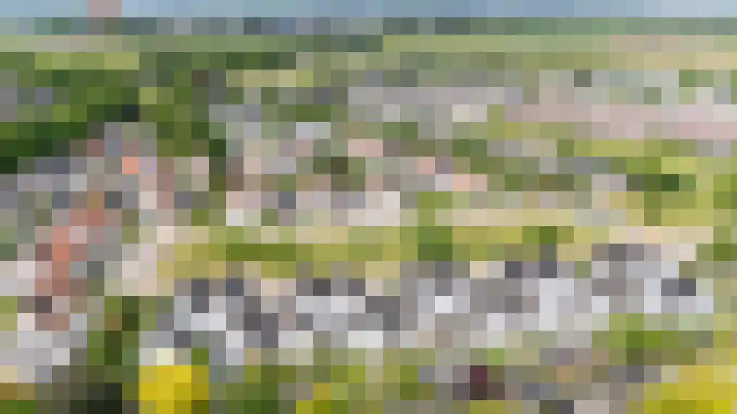 De Handboog 28 Duiven thumbnail 71