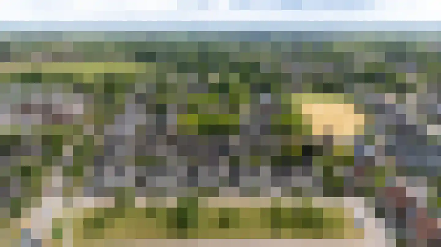 De Handboog 28 Duiven thumbnail 72