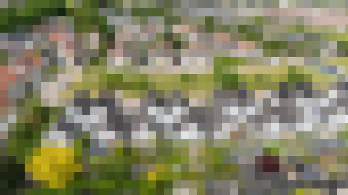 De Handboog 28 Duiven thumbnail 73