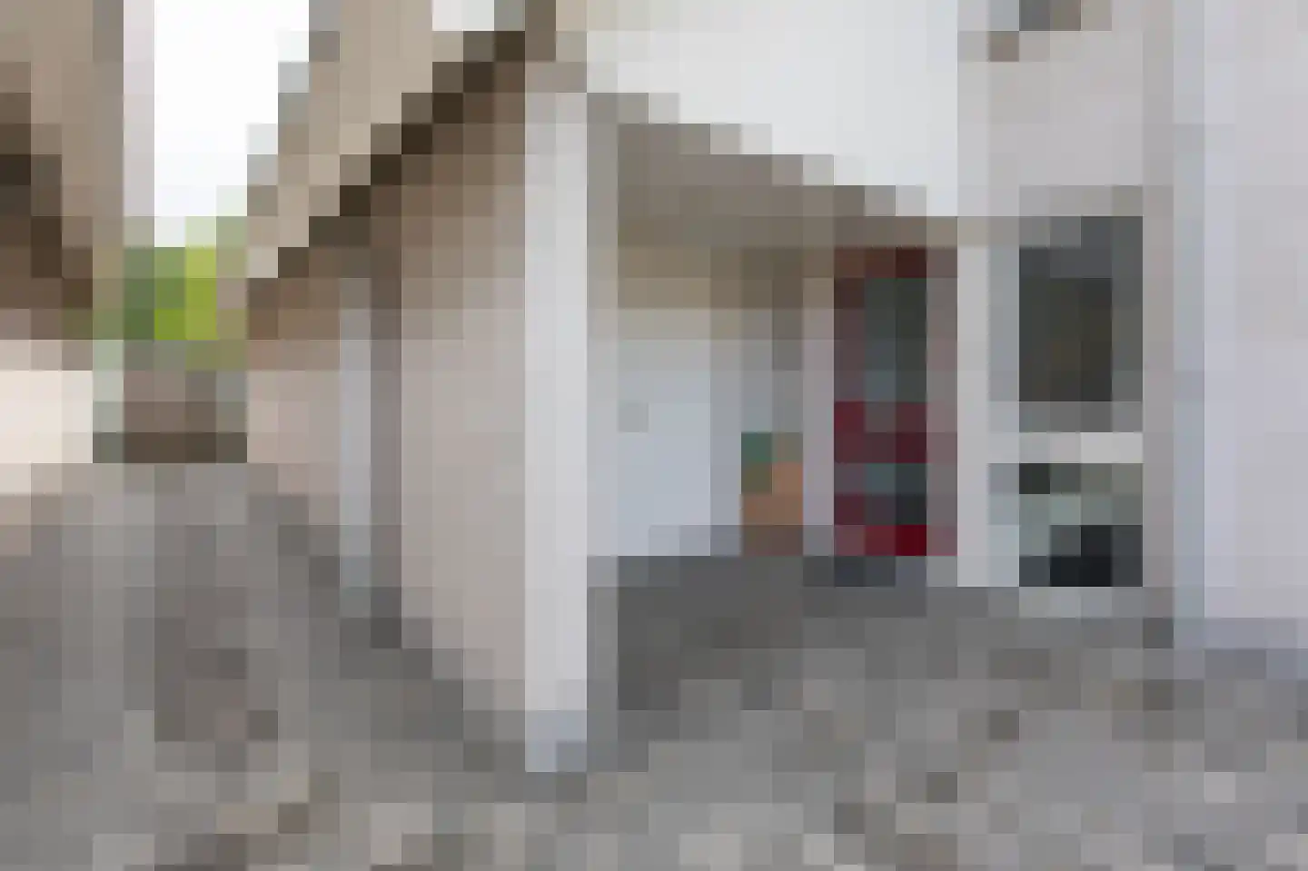 De Handboog 28 Duiven thumbnail 8