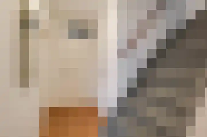 De Handboog 4 Duiven thumbnail 10