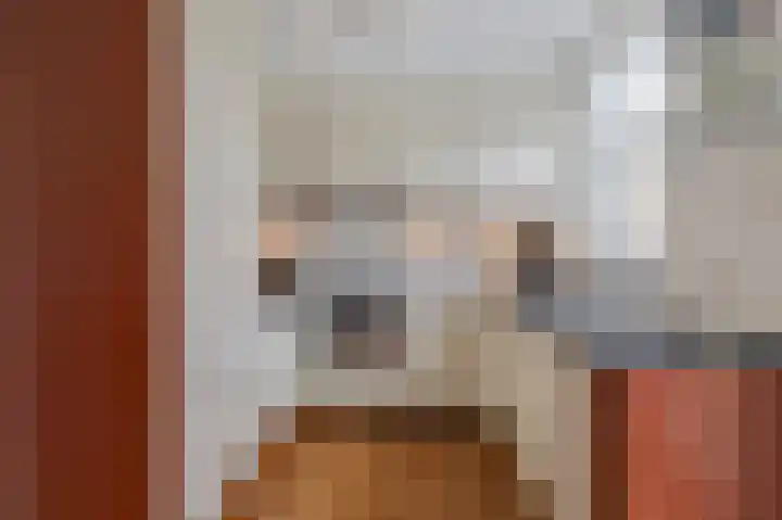 De Handboog 4 Duiven thumbnail 25