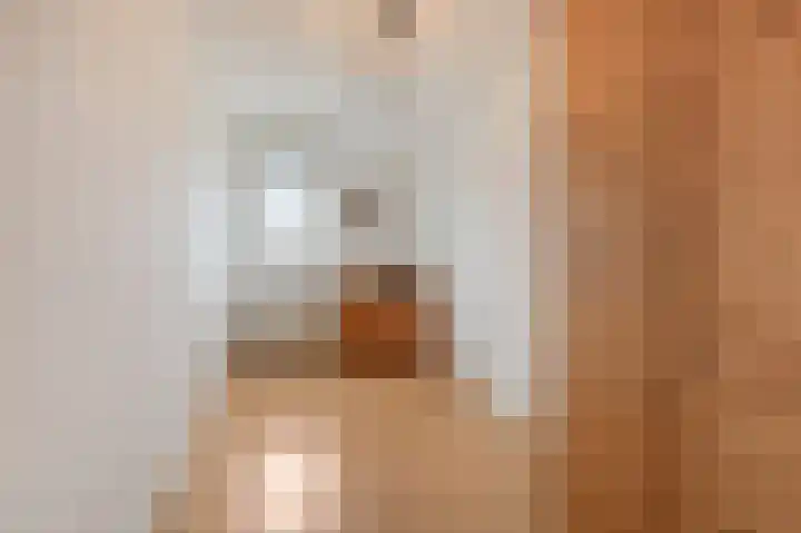 De Handboog 4 Duiven thumbnail 33