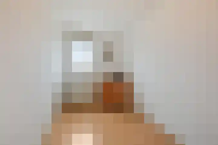 De Handboog 4 Duiven thumbnail 34