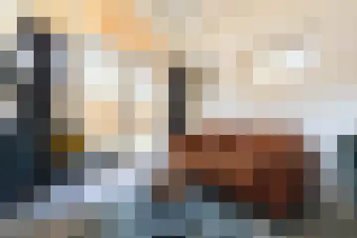 De Handboog 4 Duiven thumbnail 39