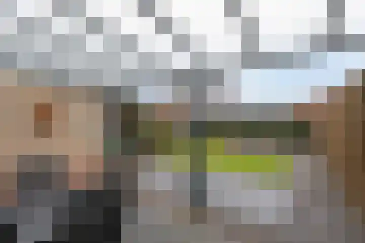De Handboog 4 Duiven thumbnail 4