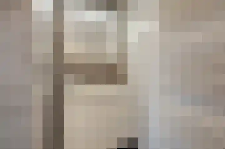 De Handboog 4 Duiven thumbnail 42