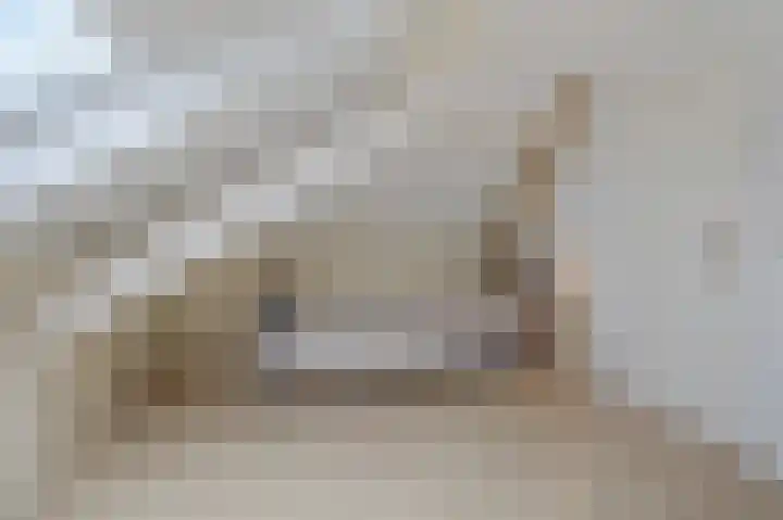 De Handboog 4 Duiven thumbnail 49