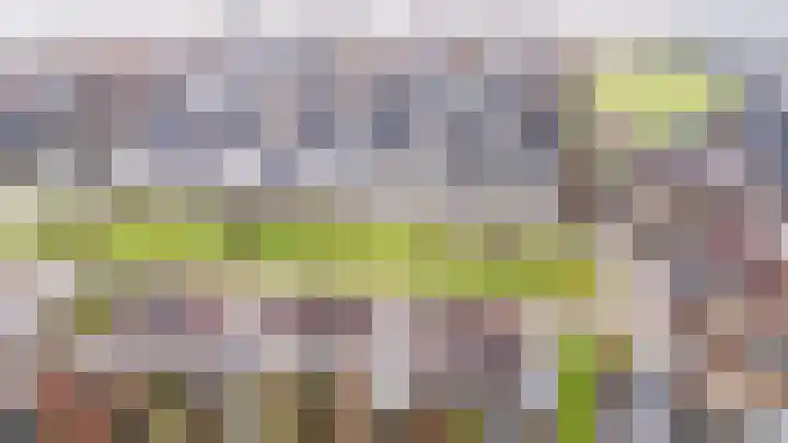 De Handboog 4 Duiven thumbnail 5