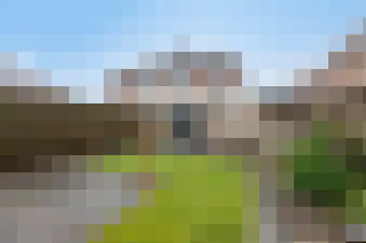 De Handboog 4 Duiven thumbnail 53