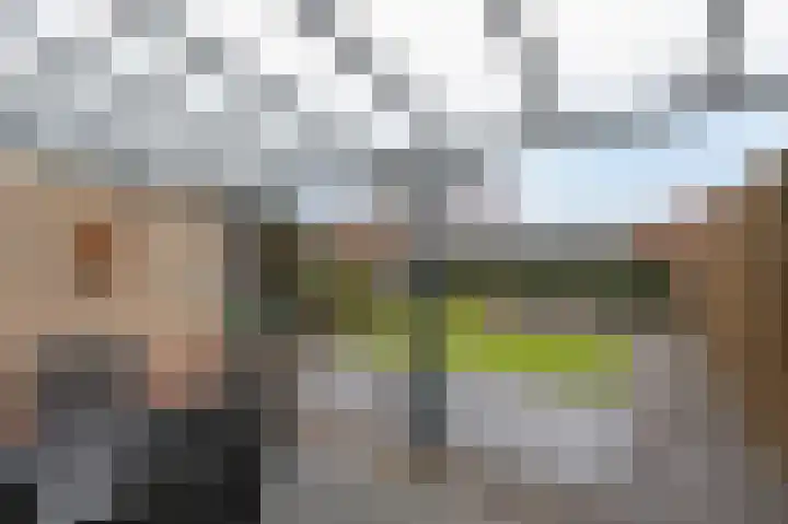De Handboog 4 Duiven thumbnail 57