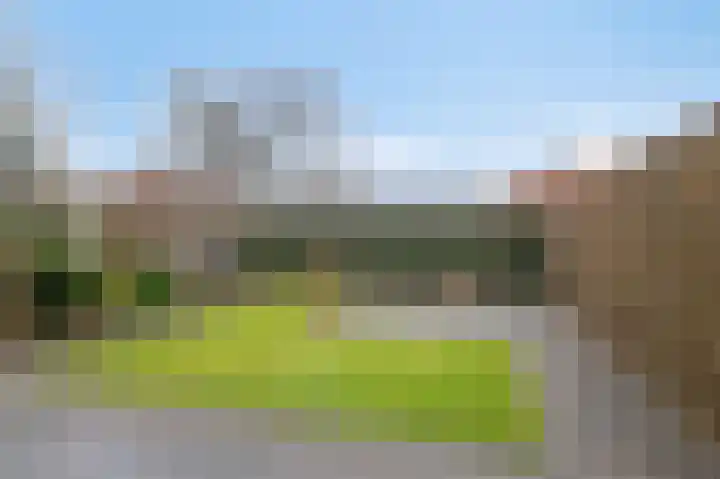 De Handboog 4 Duiven thumbnail 58