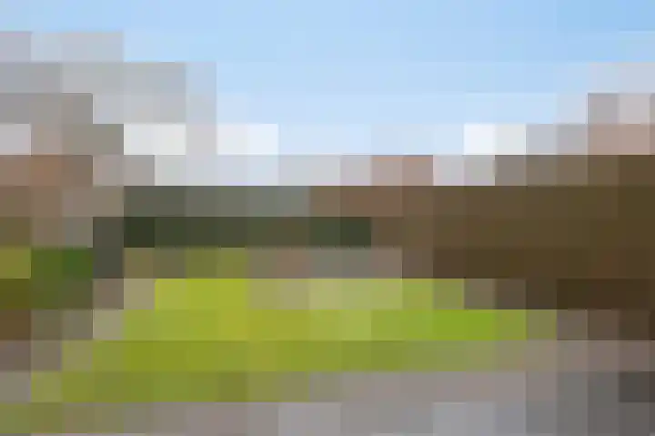De Handboog 4 Duiven thumbnail 59