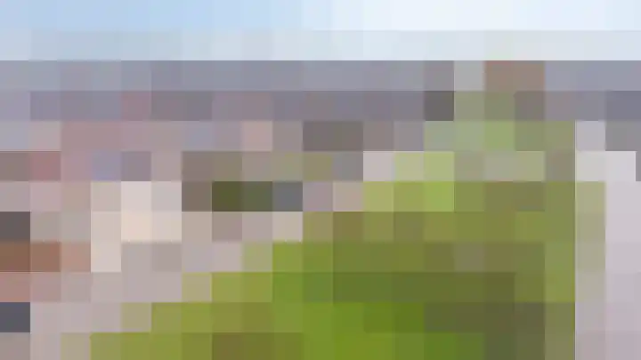 De Handboog 4 Duiven thumbnail 6