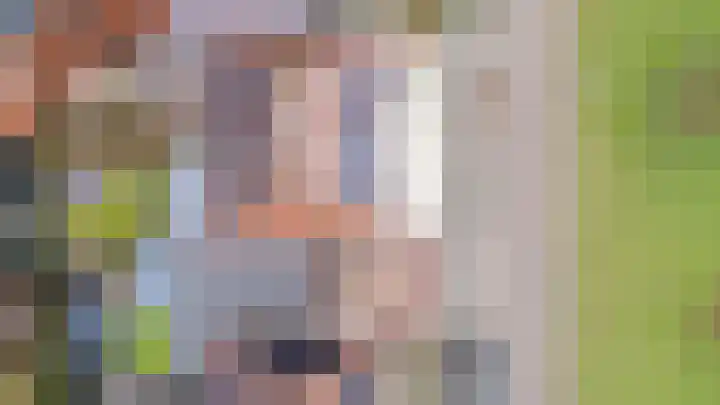 De Handboog 4 Duiven thumbnail 60