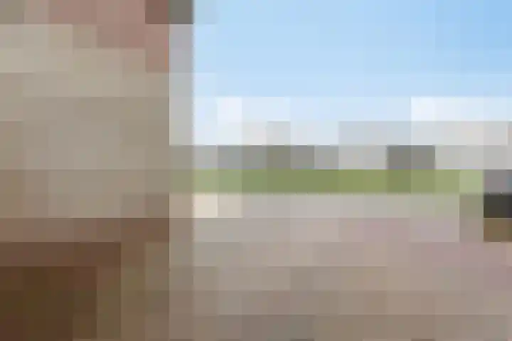 De Handboog 4 Duiven thumbnail 62
