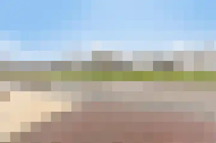 De Handboog 4 Duiven thumbnail 63