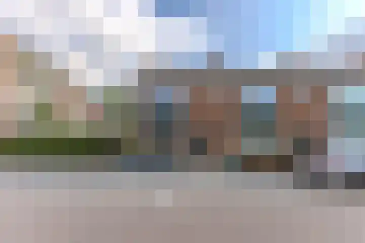 De Handboog 4 Duiven thumbnail 64
