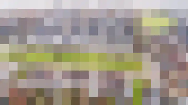 De Handboog 4 Duiven thumbnail 65