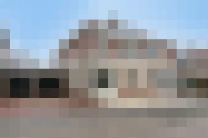 De Handboog 4 Duiven thumbnail 7