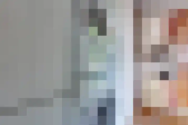 De Hanekampen 3 Beilen thumbnail 20