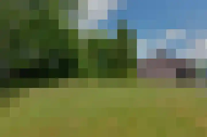 De Hanekampen 3 Beilen thumbnail 39