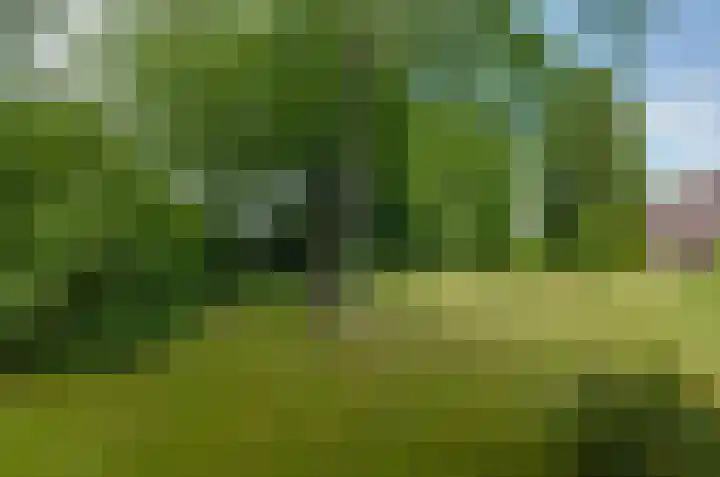 De Hanekampen 3 Beilen thumbnail 41